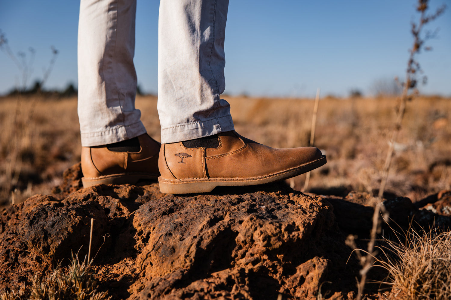 Chelsea Boots